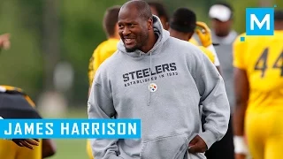 James Harrison Strength Training Workouts for Football | Muscle Madness