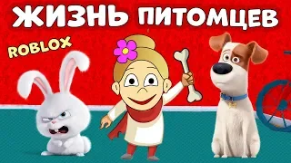 Роблокс Секретная жизнь домашних питомцев 🐶 Secret Life of Pets roblox 👉 роблокс на русском