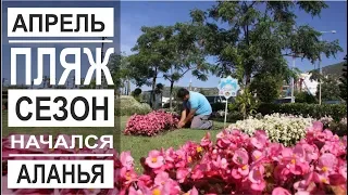 Турция: Лето 2019 началось. Жара в Аланье. Набережная и пляж