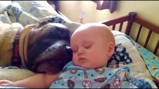 Baby und Hund sind beste Freunde auch wenn sie Schlafen, süße Haus Tiere und Kinder