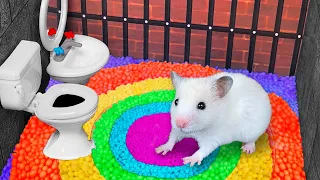 Hamster Escapes the Rainbow Prison with ball pool