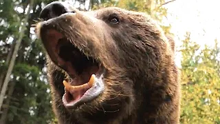 GRIZZLY II: REVENGE Finished Film Trailer (2020) George Clooney Bear Horror