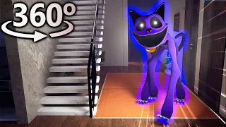 CATNAP in 360° | VR / 4K 😨