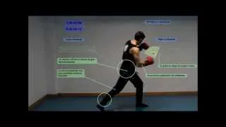 Análisis Biomecánico del Boxeo - CAFD UM - Biomecánica