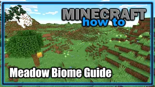 Everything About the Meadow Biome! (1.18+) | Minecraft Biome Guide