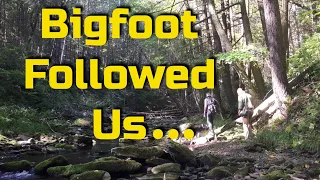 Bigfoot Followed Us, Catskills NY Sasquatch Encounter