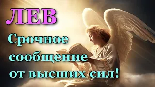 ЛЕВ 💌 СРОЧНОЕ СООБЩЕНИЕ от 🙏 ВЫСШИХ СИЛ!  💯 УЗНАЙТЕ, ЧТО ГОТОВИТ ВАМ СУДЬБА! ТАРО ПРОГНОЗ ГАДАНИЕ 🍀