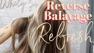 Refreshing a Reverse Balayage with Foils // Wholy Hair