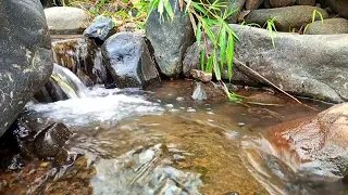 River's Melody: 1 Hour of Calming Waterscape