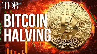 Bitcoin Halving 2024 (Beginners' Guide) | TDR