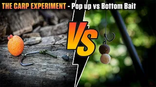 POP UP rigs vs BOTTOM BAIT rigs - Which one catches the most CARP?