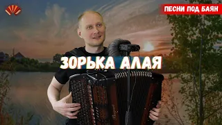 Зорька алая/ Евгений Попов - баянист