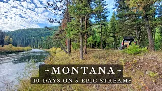 Fly Fishing Montana - 10 days of truck camping - 5 epic streams