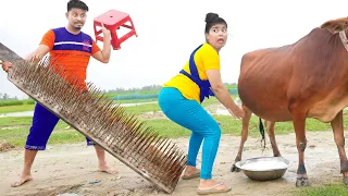 Very Special Trending Funny Comedy Video 2023😂Amazing Comedy Video 2023 Episode 237 busyfun