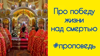 #проповедь про победу жизни над смертью