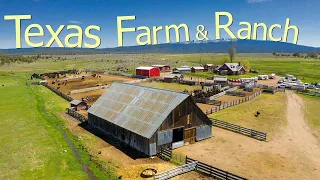 How Texas Farmers Are Running 247000 Farms And Ranches - Farming Documentary