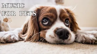 Calming and Relaxing Music for Dogs, Deep Sleep Dog Music, Healing Music for Dogs