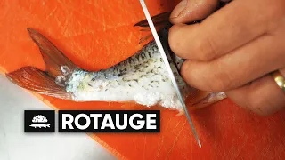 Rotauge | Filetieren und Gräten beseitigen XXL | Fisch und Grips