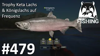 Trophy Keta Lachs und Königslachse auf Frequenz | Russian Fishing 4 #479 | Deutsch | UwF