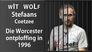 Wit Wolf Stefaans Coetzee