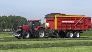 Gras oprapen met Case IH Puma 195 CVX en Schuitemaker Rapide 6600 (2017)