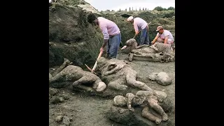 A picture of the Pompeii excavation #2022inshort  19 December 2022