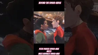 PETER PARKER SPIDER-MAN MEETS MILES MORALES SPIDER-MAN