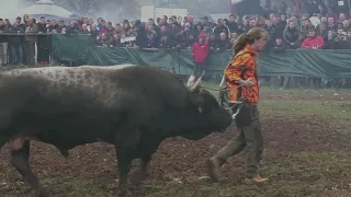 - BAĆA UVEO ZEĆU U ARENU PRIJE NASTUPA, DICMO 2023