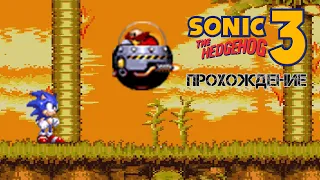 Sonic the Hedgehog 3 (Sega) - Прохождение