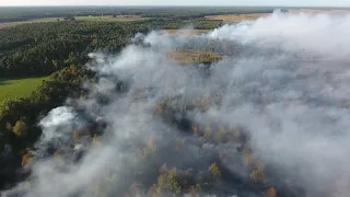 Feuerwehr kämpft gegen Moorbrand im Emsland an