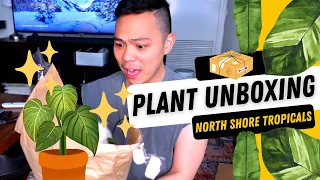 They sent me my wish list plants 😍| NORTH SHORE TROPICALS 💚 Testing out Moss Poles | Plant Unboxing