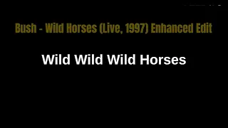Bush Wild Horses (Live, 1997) Enhanced Edit with Lyrics