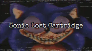 El verdadero rostro de Sonic.exe | Sonic Lost Cartridge