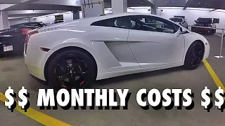 Lamborghini Gallardo Monthly Costs  How To Budget