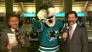 Sharkie disrupts Pregame show on NBC Sports