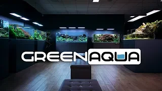 BEAUTIFUL PLANTED TANKS THE GREEN AQUA SHOWROOM - 2020 CINEMATIC EDITION