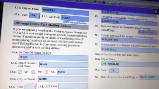 HOW TO FILL OUT I-485 for K2 DERIVATIVE APPLICATION TO REGISTER PERMANENT RESIDENT OR  GREENCARD?