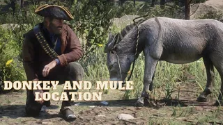 Red Dead Redemption 2 *DONKEY AND MULE LOCATION