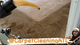 Heavily Soiled, Vacuuming, Raking, Caramelize WaterDump-MovingOut @CarpetCleaningATL ￼