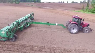 Chopping hay with dump carts and planting peas.  #claasjaguar #oxbointernational #caseih