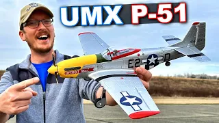 Miniature P-51D Mustang Detroit Miss UMX RC Warbird Plane!