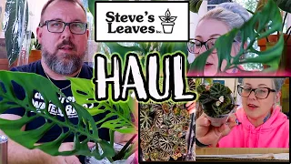 House Plant Unboxing from Steve's Leaves