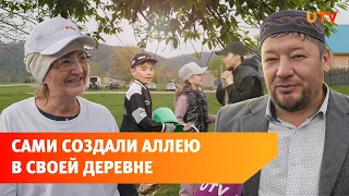 В Башкирии люди высадили целую аллею, чтобы украсить свою деревню. Вот что у них получилось