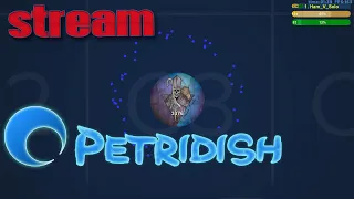 Petridish.pw | играем с 2-ух вкладок