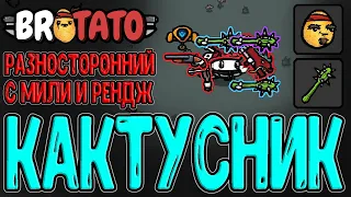 Разносторонний и Дубинка-кактус / Ядерная установка и Уничтожитель / Brotato прохождение на русском