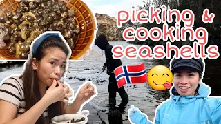 PICKING AND COOKING SEASHELLS (strandsnegle)🐌 | Filipina in Kvenvær, HITRA 🇳🇴🇵🇭