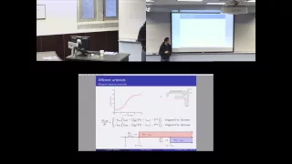 Mathematical modeling of renal complications induced by cardiac surgery