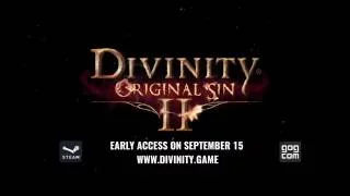 Divinity Original Sin 2 Early Access Announcement Trailer game6789.net