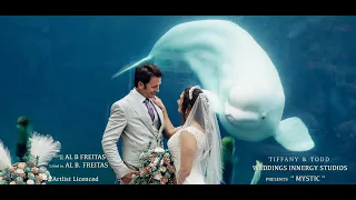 Nosy Beluga whale assisting entire wedding in front of the Aquarium