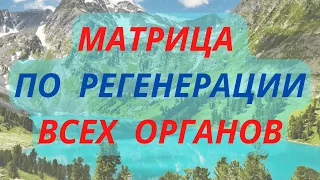 Редкая и Единственная Матрица по Регенерации Всех Органов 781